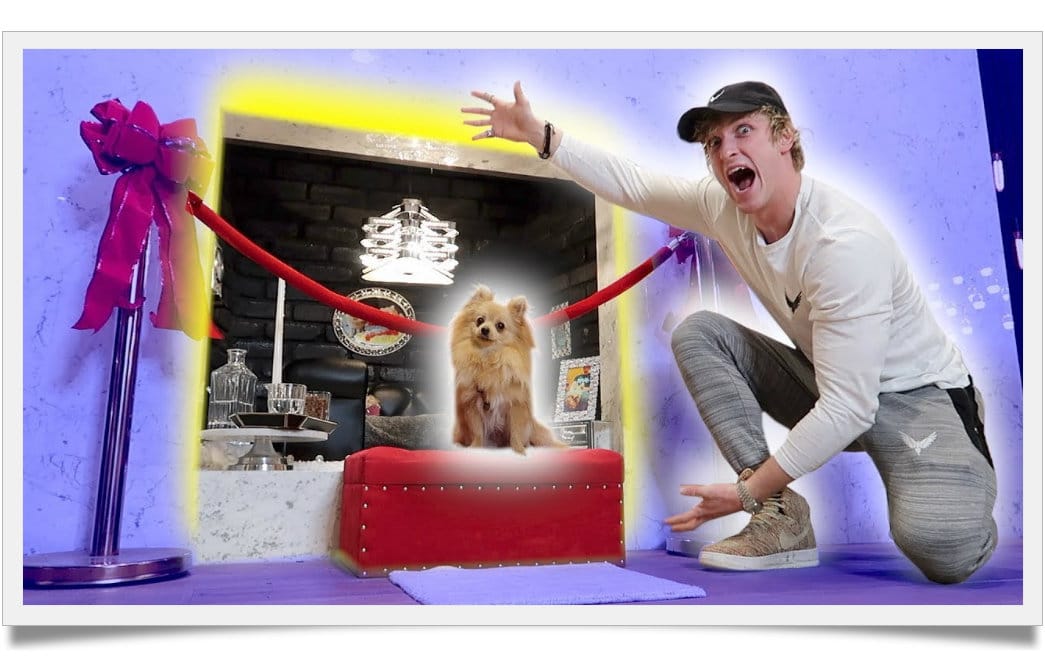 kong logan paul's dog facts that will blow your mind ...