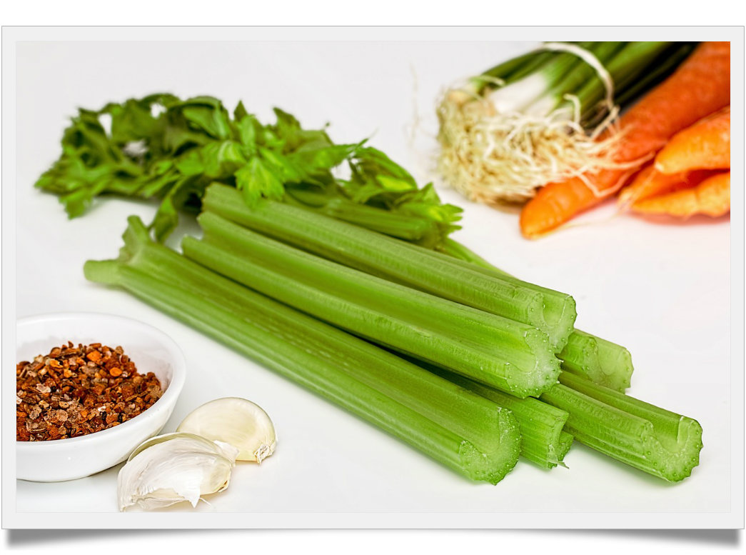 Is celery good for horses finally explained Known Pets