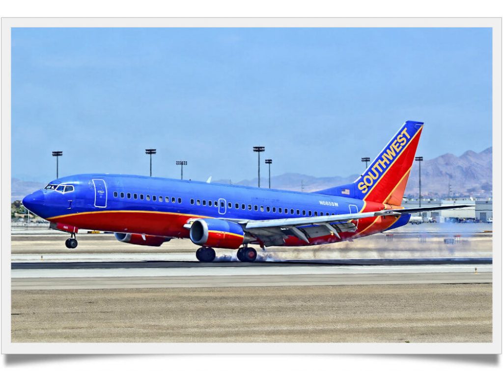 are dogs allowed on planes and which airline allows pets Known Pets
