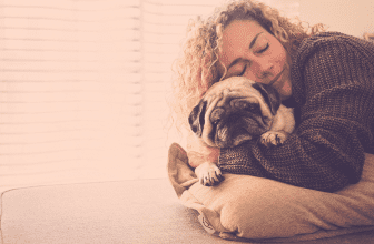 TOP 10 Best Dog Breeds For Cuddling - COVER