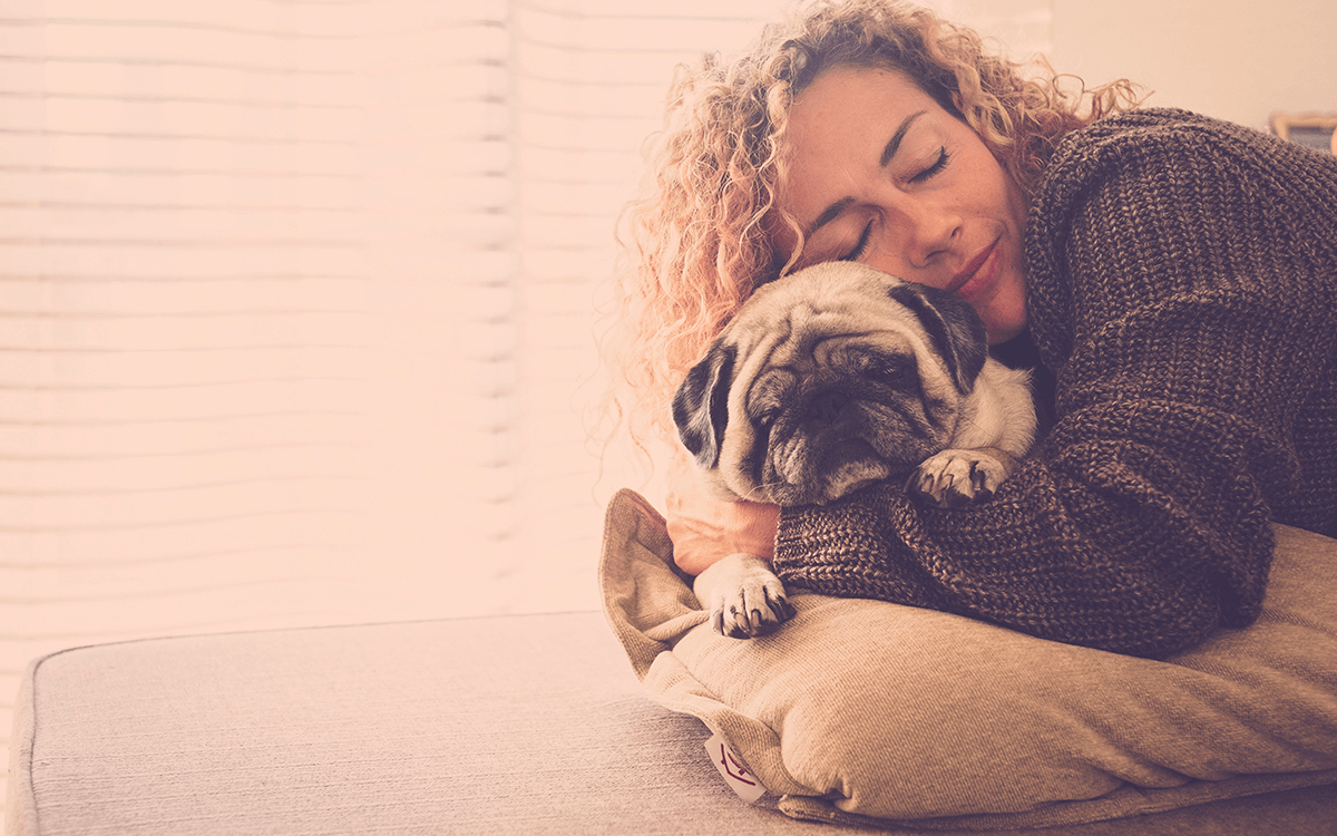 TOP 10 Best Dog Breeds For Cuddling - COVER