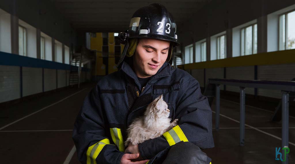 Fire Alarm - Cats Who Have Heroically saved the humans they loved