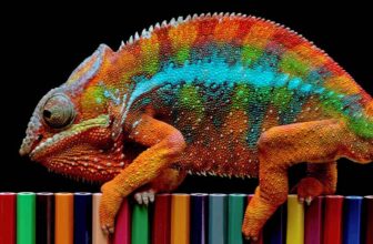 10 Chameleon Myths and Misconceptions You Need To Stop Believing Now! - cover