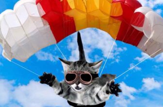 How The RAF Fought Malaria With Parachuting Cats - cover
