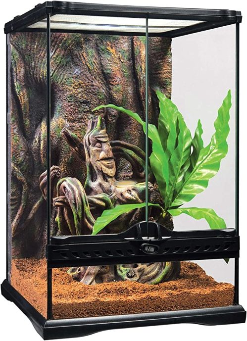 <strong><strong><a href="https://6e08aexogq7y8manjm5qgu2n7e.hop.clickbank.net" target="_blank" rel="noreferrer noopener">Exo Terra PT3778 Crested Gecko Kit, Small</a></strong></strong>