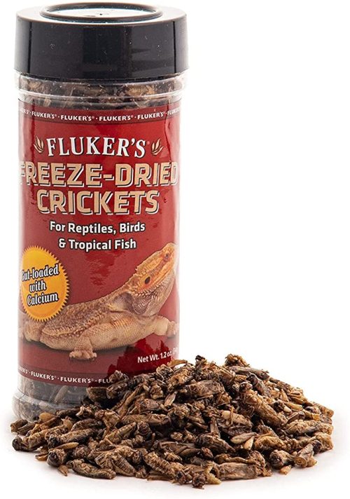 <strong><strong><a href="https://6e08aexogq7y8manjm5qgu2n7e.hop.clickbank.net" target="_blank" rel="noreferrer noopener">Freeze Dried Crickets, 1.2oz</a></strong></strong>