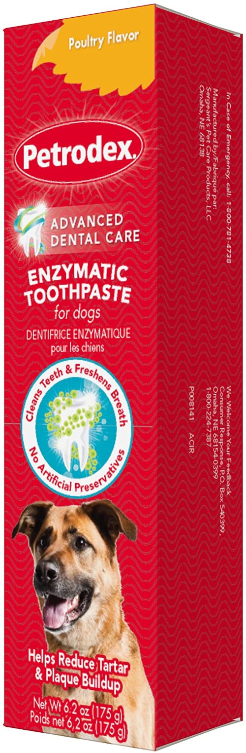 Petrodex Enzymatic Toothpaste and Brushes for Dogs