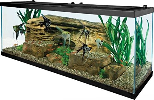 Tetra 55 Gallon Aquarium Kit with Fish Tank